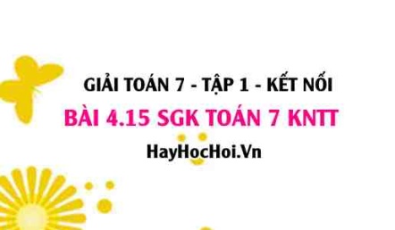 Bài 4.15 SGK Toán 7 tập 1 Kết nối tri thức